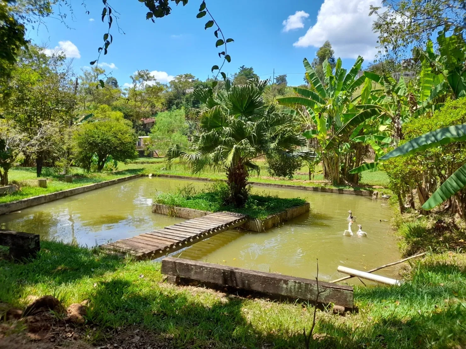 Foto do imóvel Chácara à venda 3 Quartos, 3 Suites, 20 Vagas, 8600M², Goiabal, Pindamonhangaba - SP