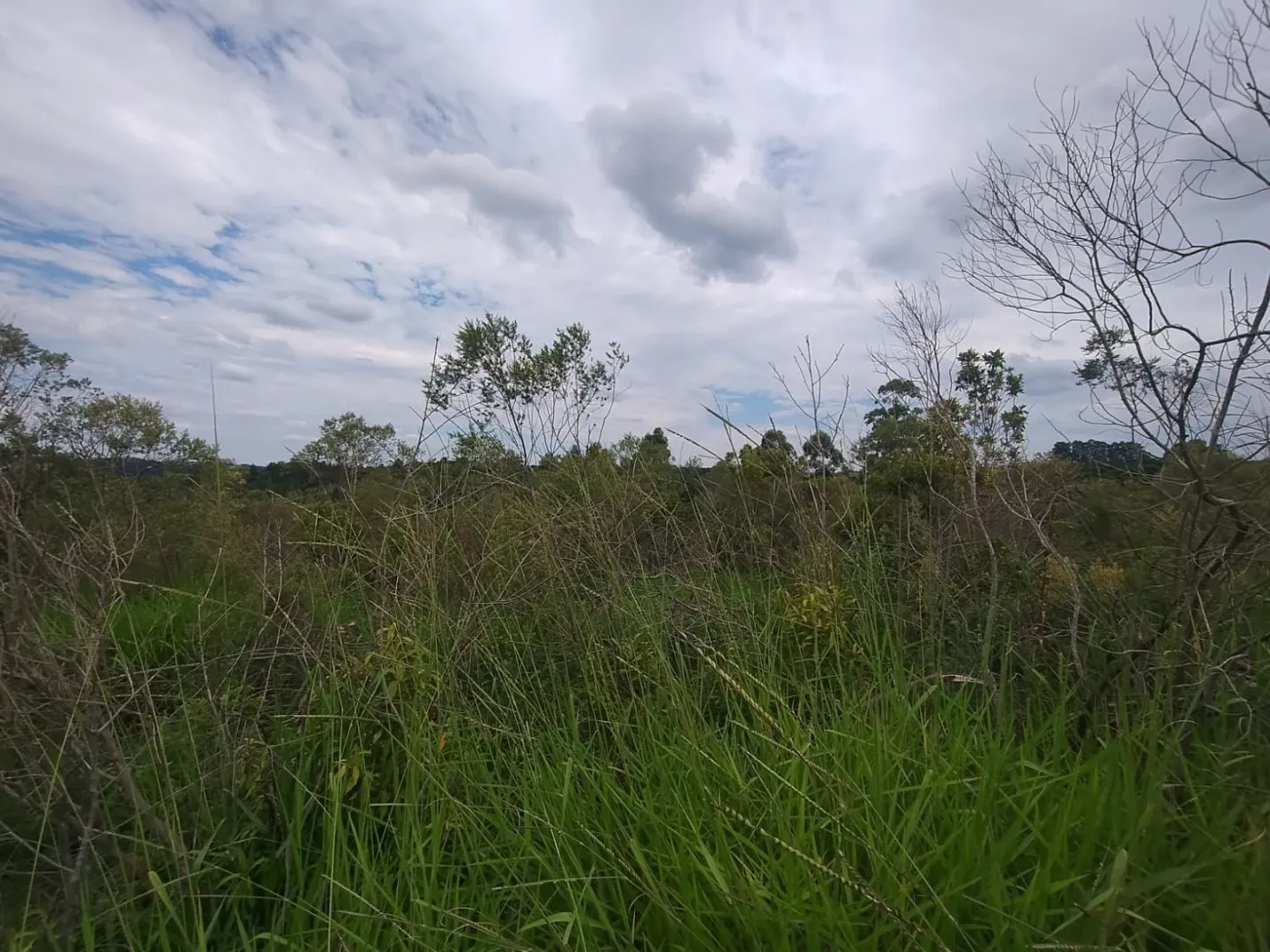 Imagem Oportunidade: Terreno em Viamão, JARDIM VIAMAR - Venda 363m²