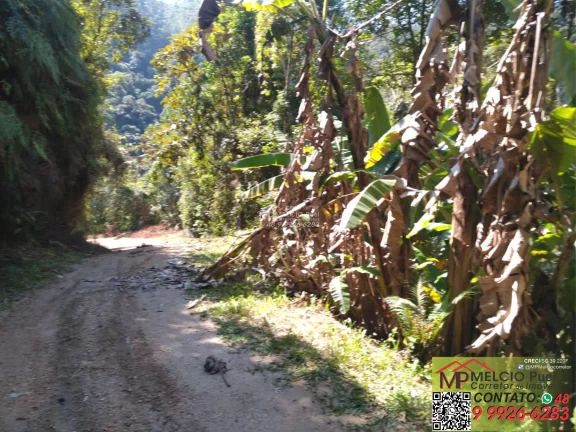 Imagem SÍTIO a VENDA, com 4.000m², com ESCRITURA, no bairro S. Valentim em Nova Trento. Com beira uma rio, de Nova Trento, podendo fazer trilha ecológica