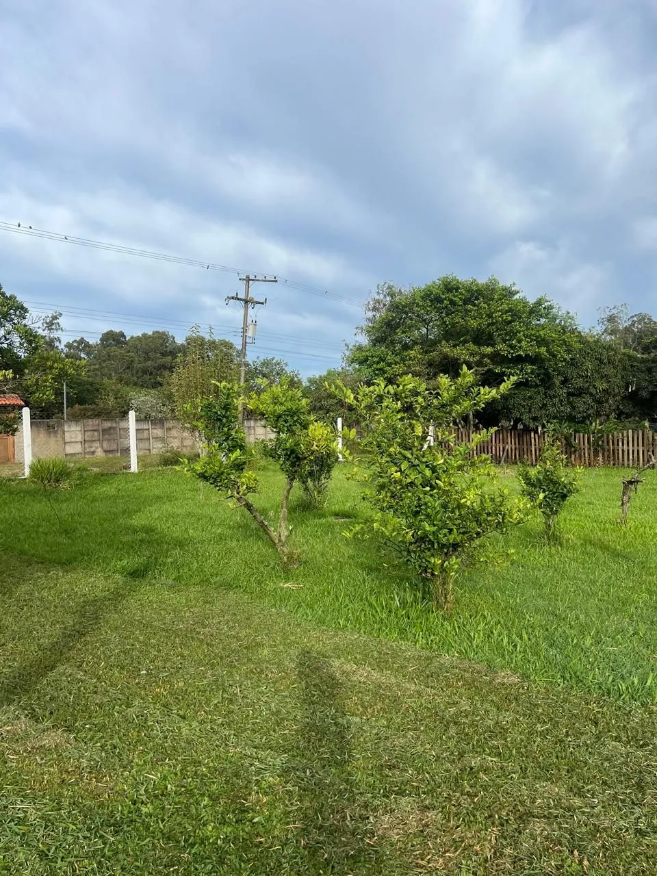 Imagem Sítio em Parque Florestal Itapuã