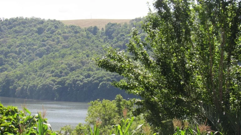 Imagem Terreno para Venda em Concórdia, Lageado Paulino