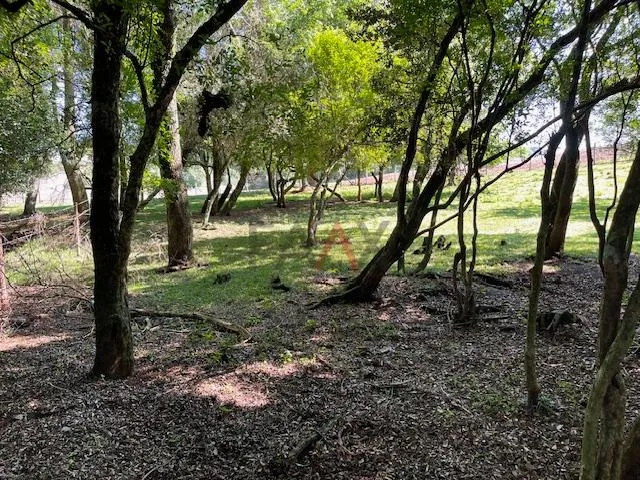 Imagem Chácara com 2,763 alqueires à venda na PALMEIRINHA em GUARAPUAVA - PR