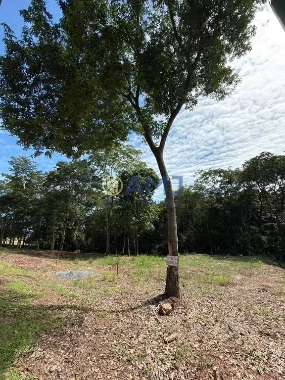 Imagem LOTE À VENDA | COND. COUNTRYVILLE - HIDROLÂNDIA/GO