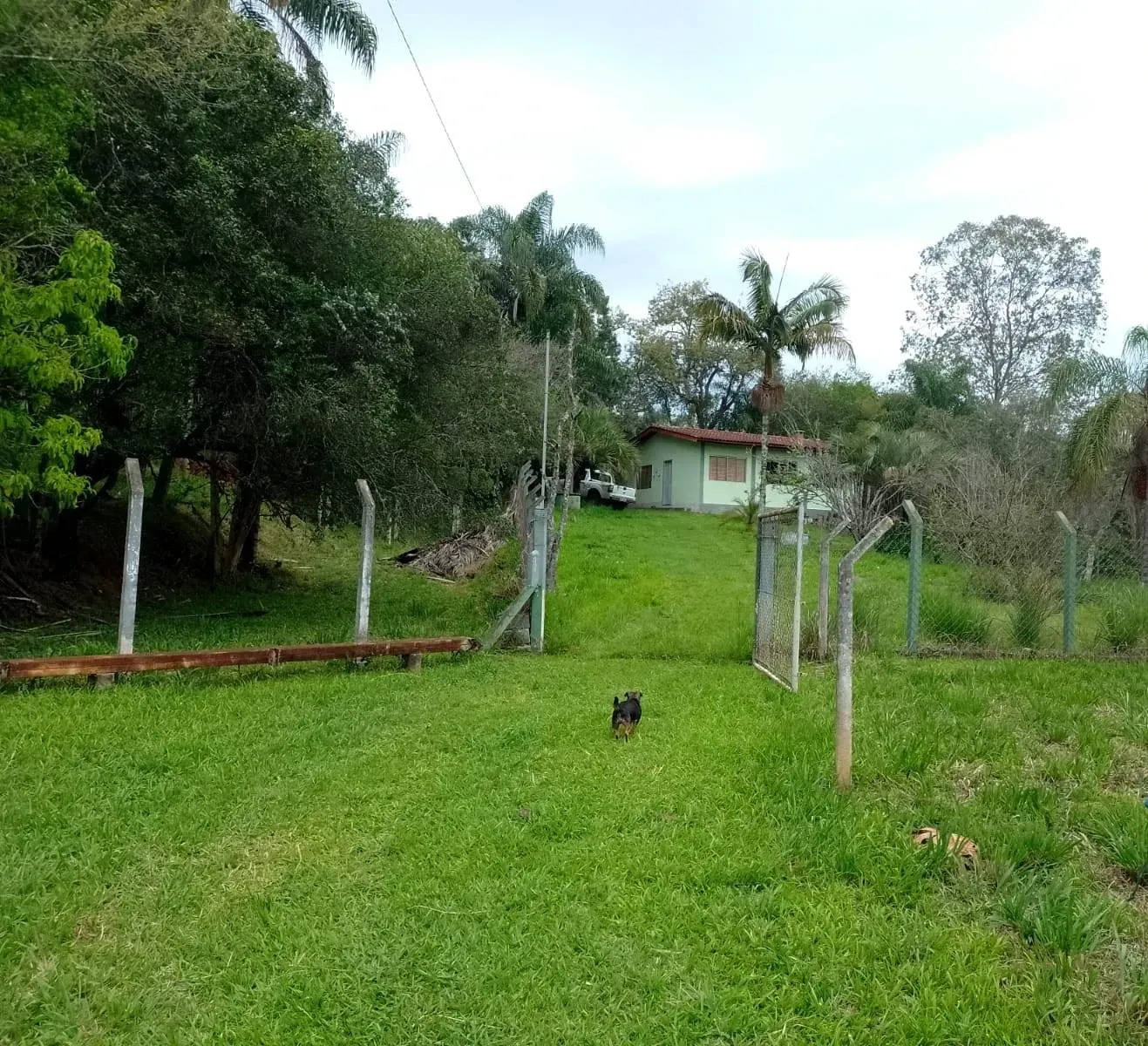 Imagem Chácara com 2 Quartos à Venda, 80 m² em Caldas - Caldas