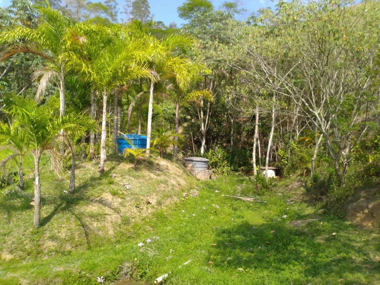 Imagem Chácara à venda 3 Quartos, 31573.76M², Centro, Monteiro Lobato - SP