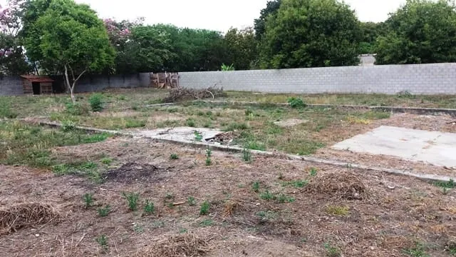 Imagem Terreno à venda 1189.09M², Vila Ofélia, Guaratinguetá - SP