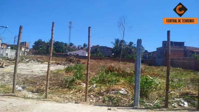 Imagem TERRENO EM ABRANTES