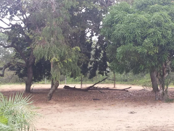 Imagem TERRENO 100.000M² EM AREIA BRANCA - LAURO DE FREITAS/BA