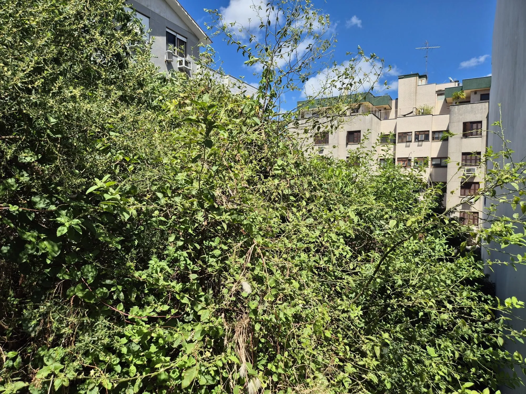 Imagem Terreno com 360m²