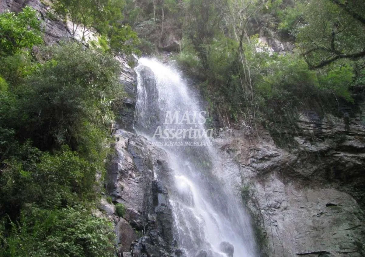 Sítio para Venda em São Francisco De Paula / RS