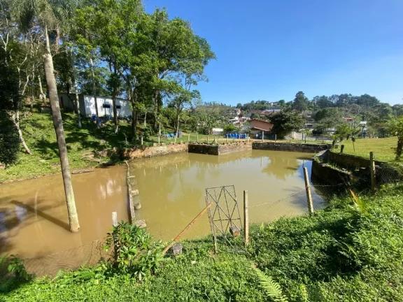 Imagem Chácara à venda, 24000 m² por R$ 1.060.000,00 - Jardim Ana Rosa (Palmeiras) - Suzano/SP