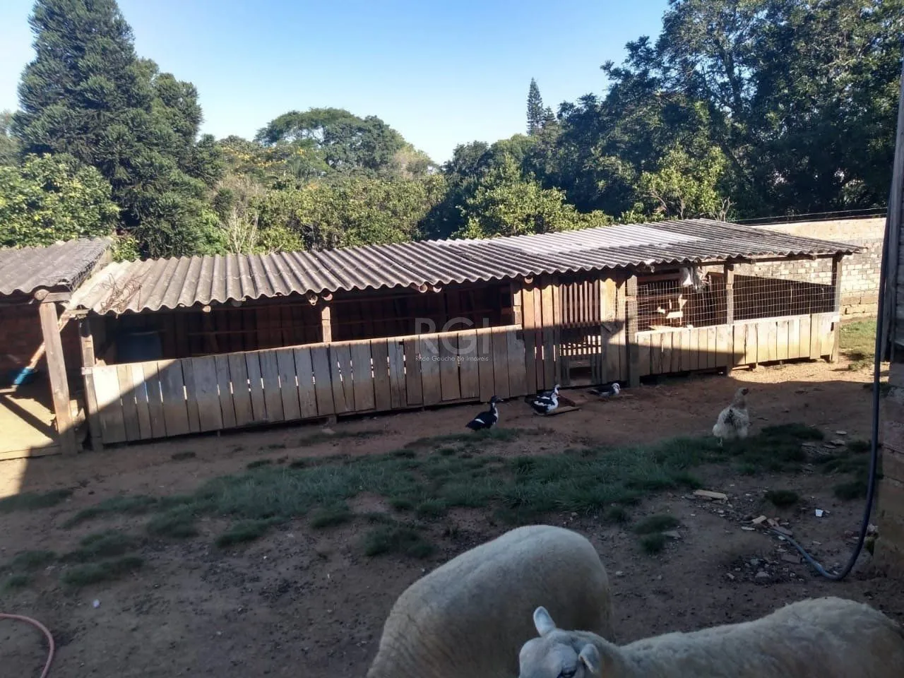 Imagem Sítio para Venda - 500m², 2 dormitórios, Krahe