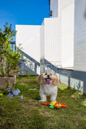 Imagem APARTAMENTO RESIDENCIAL em SÃO JOSÉ - SC, KOBRASOL