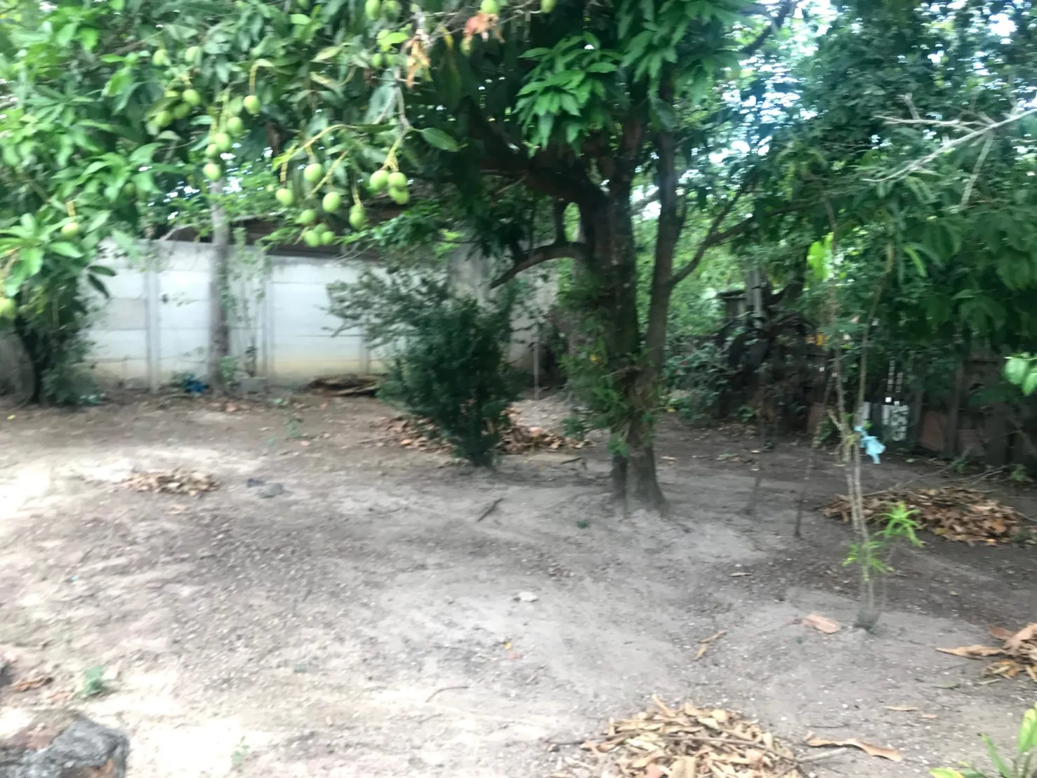 Imagem Casa à venda 810M², Vila São Benedito, Pindamonhangaba - SP