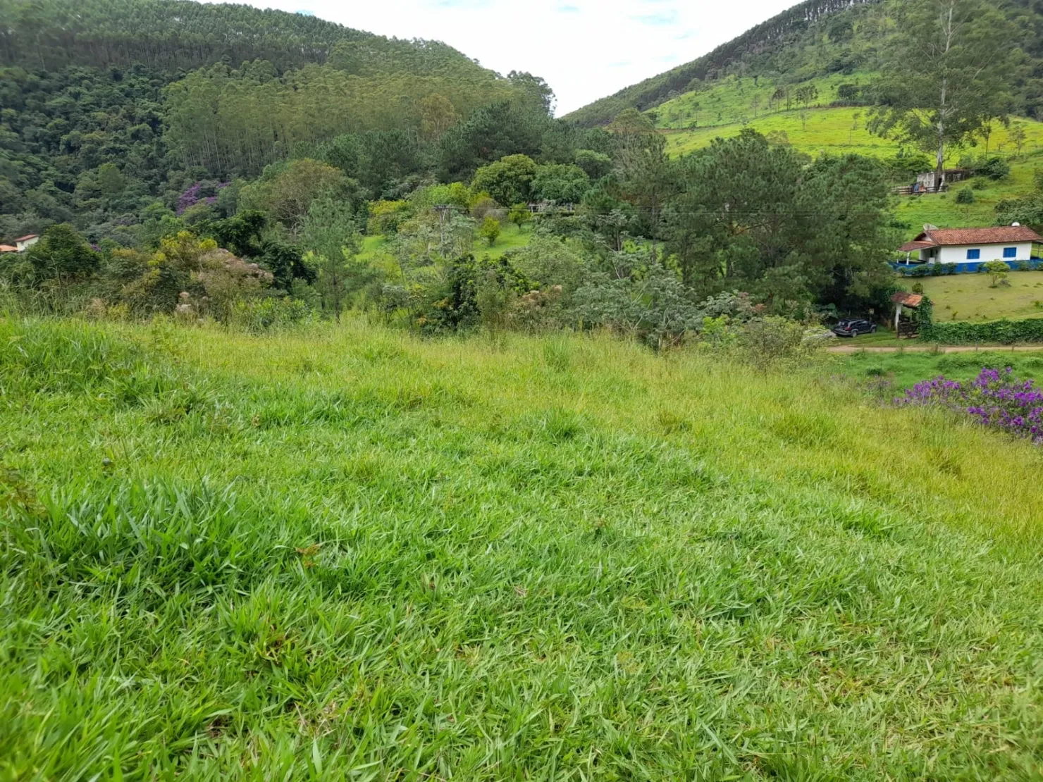 Imagem Terreno à venda 10000M², Mandú, Pindamonhangaba - SP