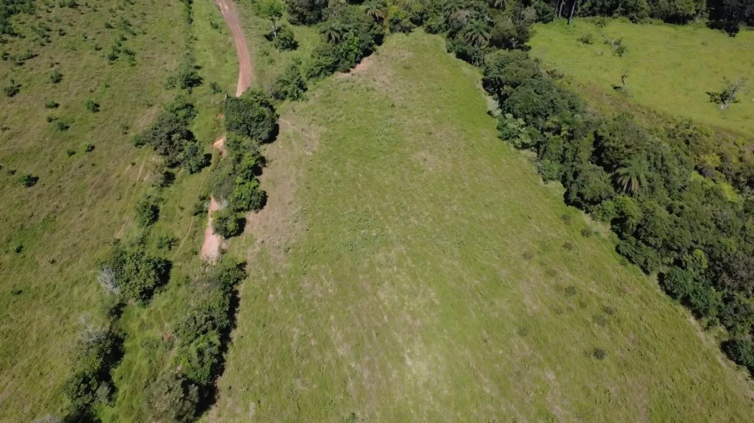 Imagem TERRENO À VENDA EM ITAGUARA / mg 30 HECTARES DE TERRA