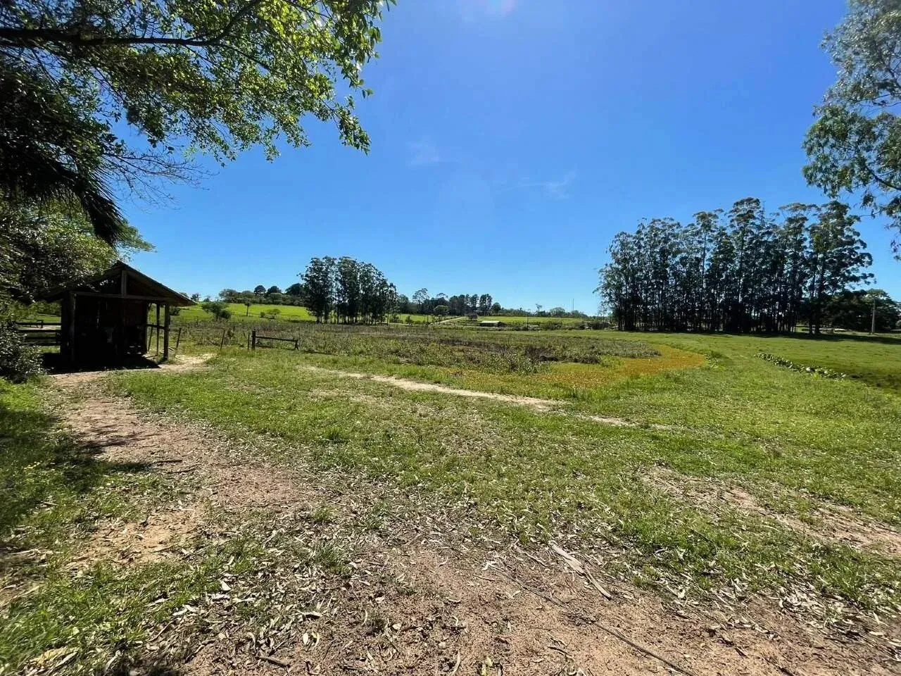 Imagem 90 Hectares de frente para o asfalto em Viamão