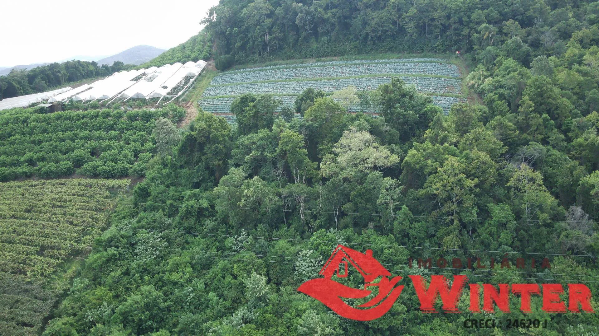 Imagem Área de terras com 16.871m2 no Picão - Feliz
