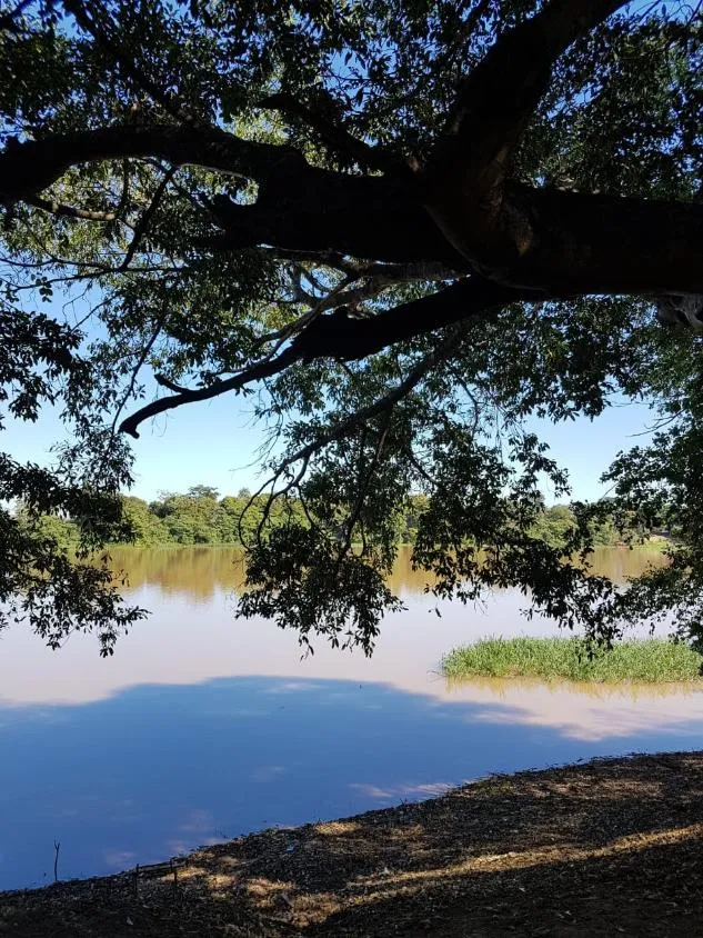 Imagem FAZENDA À VENDA - VÁRZEA DA PALMA (MG) 313 hectares de área total