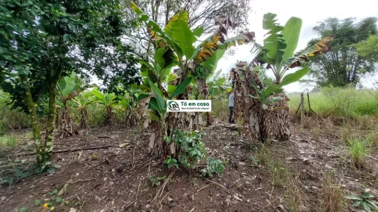 Imagem SITIO RURAL em CAÇAPAVA - SP, CHÁCARA MARAMBAIA