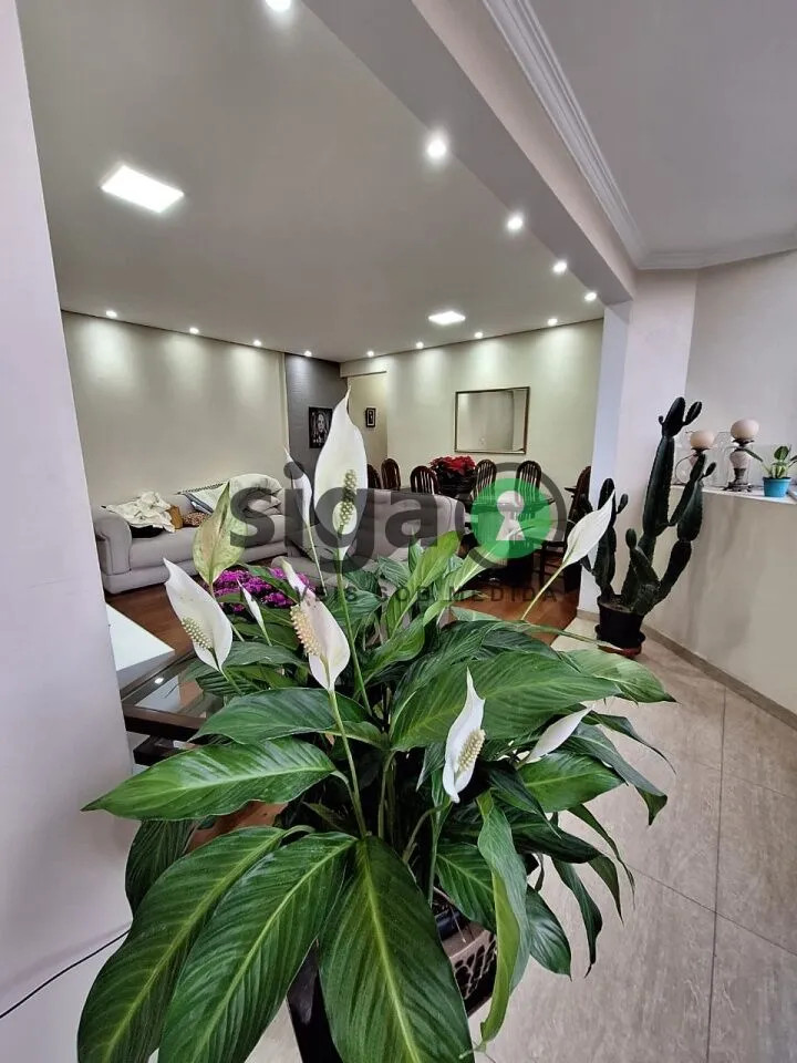 Imagem Vila Suzana co 4 dormitórios, 4 suites