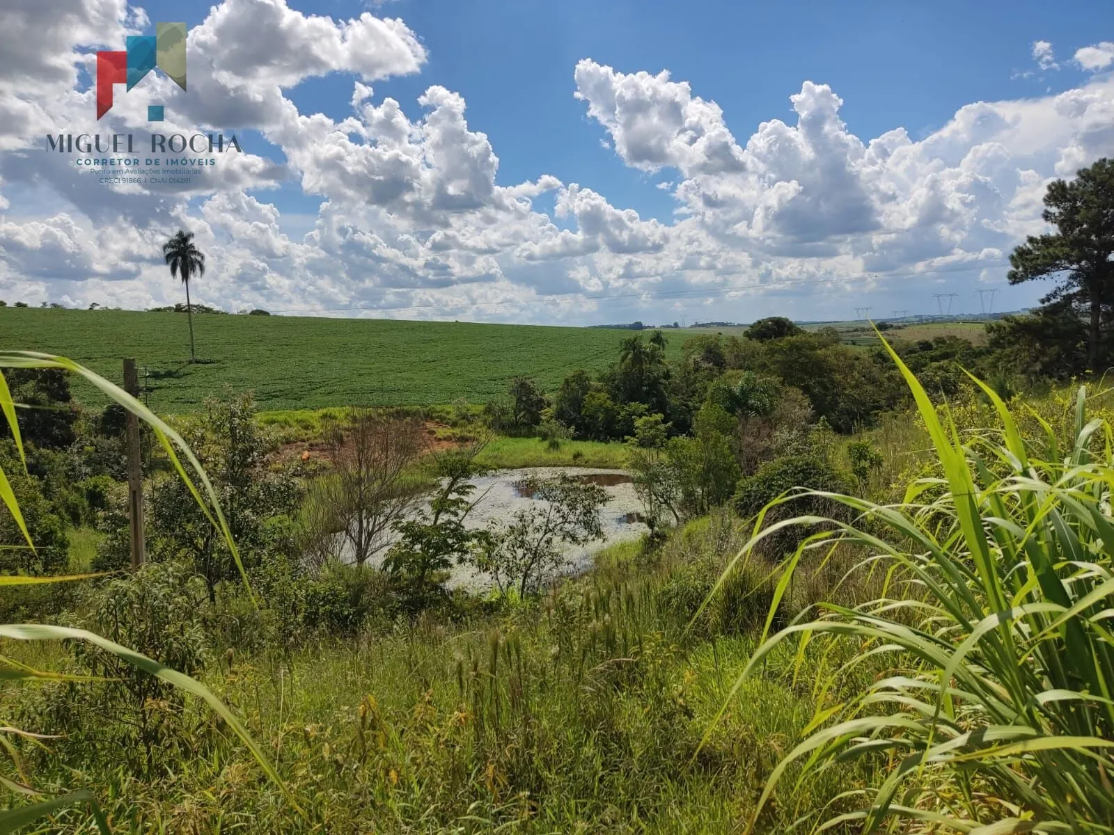 Imagem Sítio a venda região São Miguel Arcanjo SP