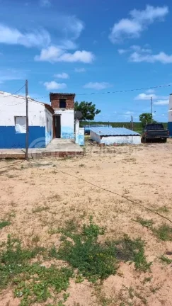 Imagem Fazenda à venda em Jandaíra - 300 hectares com alto potencial produtivo