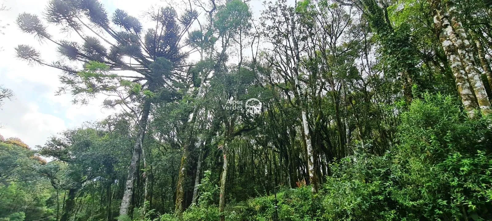 Foto do imóvel Terreno à venda por R$ 480.000,00 - Vale do Bosque - Gramado/RS