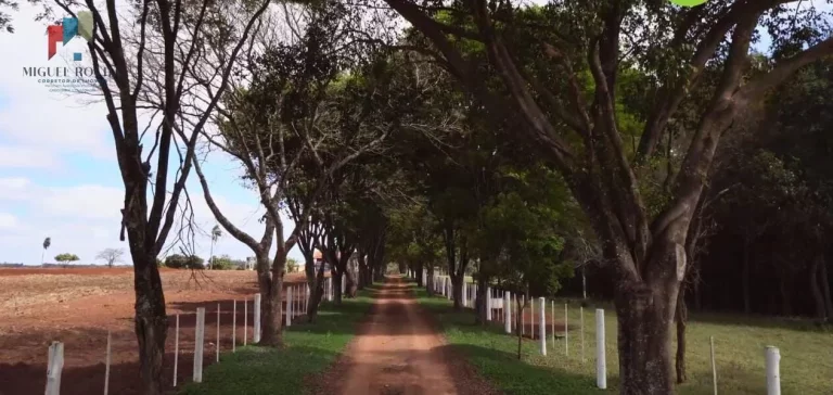 Imagem Fazenda á venda em Avaré SP