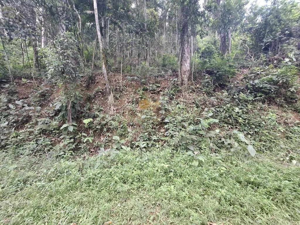 Imagem Terreno para Venda em Teresópolis / RJ no bairro Albuquerque
