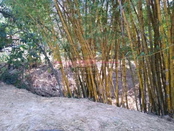 Imagem Chácara a venda na Chácara dos Pinhais, Boituva, interior de São Paulo, km 116 Castelo Branco Ter...