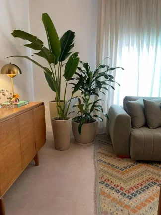 Imagem Casa para Locação Comercial