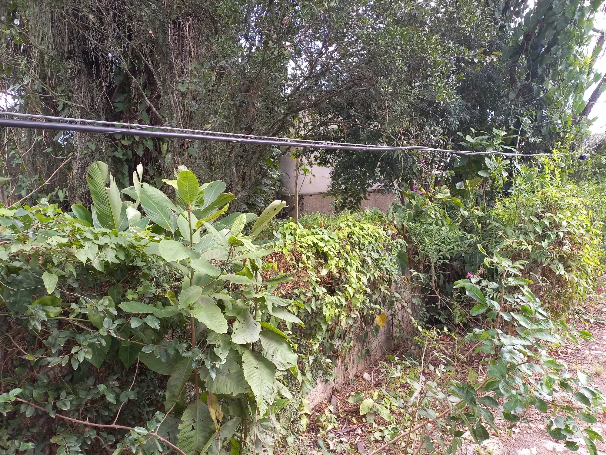 Imagem Terreno à Venda, 1196 metros em Itaipu - Niterói