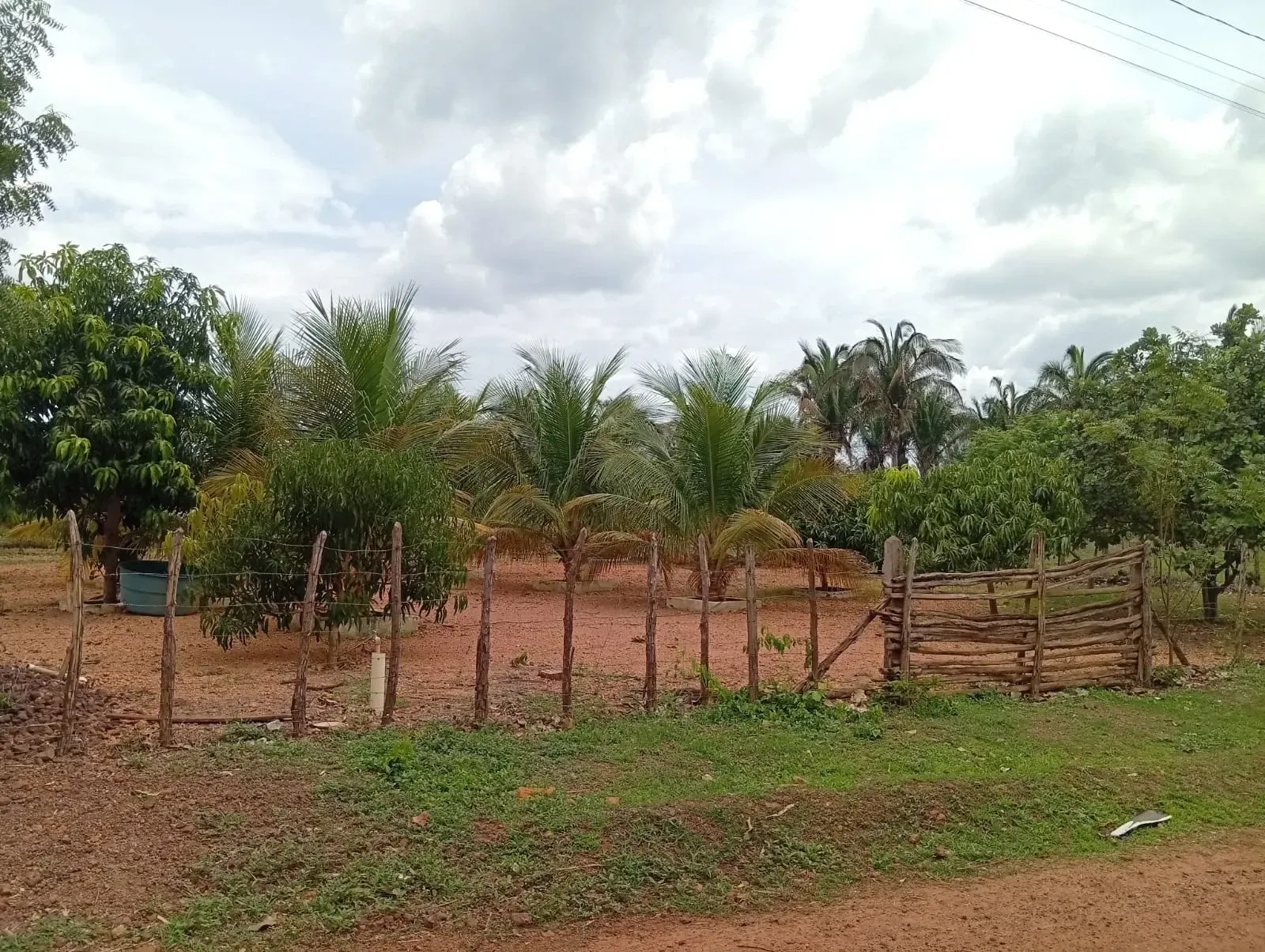 Imagem Terreno à Venda, 1000 m² em Esperantina - Esperantina