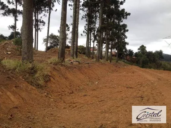 Imagem Terreno Residencial à venda, Jardim Sandra, Cotia - .