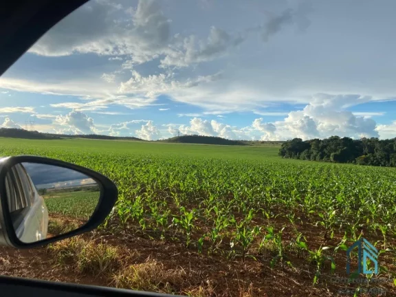Imagem Fazenda Anápolis Goiás-GO Grande Potencial para Pecuária, Agricultura, Loteamento e Mineração