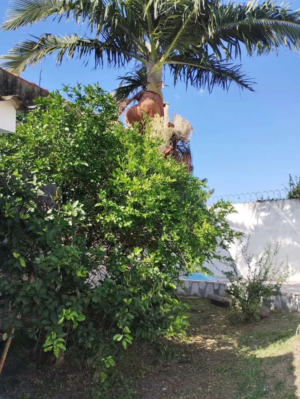 Imagem Casa em terreno amplo na Praia do Laranjal, Pelotas 4 quadras da praia