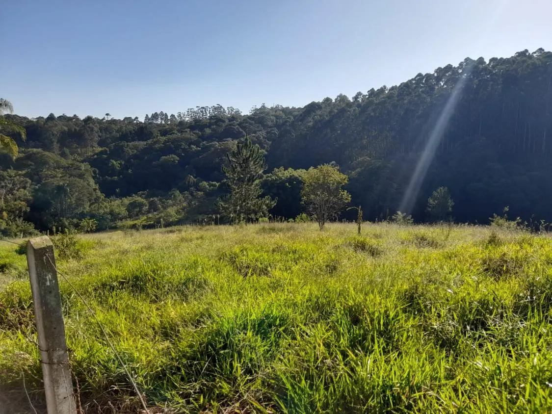 Imagem TERRENO - BAIRRO DA RESSACA - IBIUNA