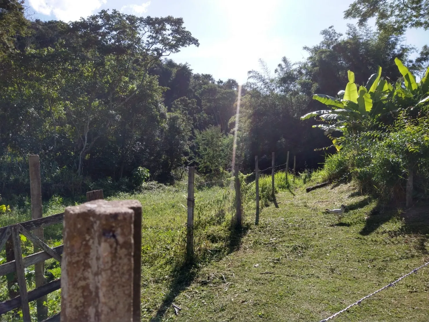 Imagem Chácara à venda 2 Quartos, 6 Vagas, 65000M², Sete Voltas, Taubaté - SP