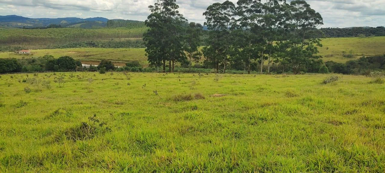 Imagem endo uma excelente fazenda em Desterro de Entre Rios com 277 hectares de terra