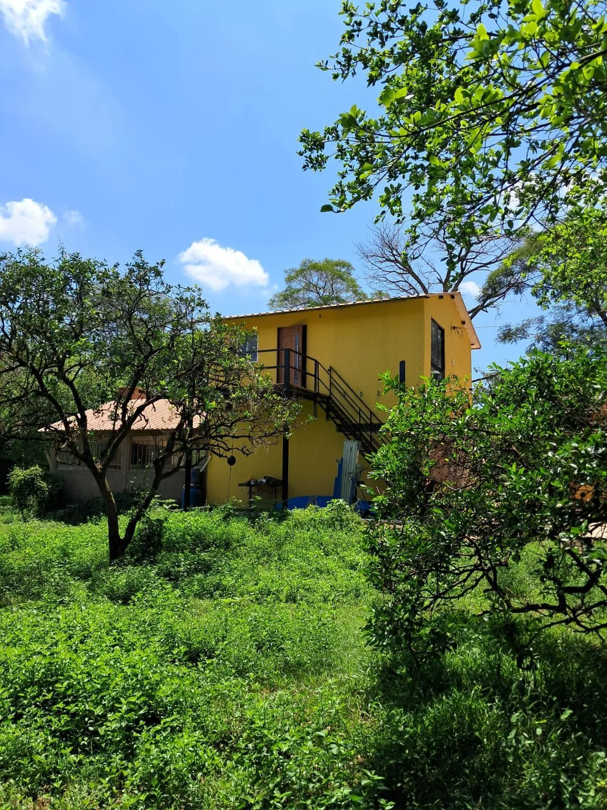 Imagem Sítio para Venda - 160m², 3 dormitórios, sendo 1 suites, Ilha Dos Marinheiros