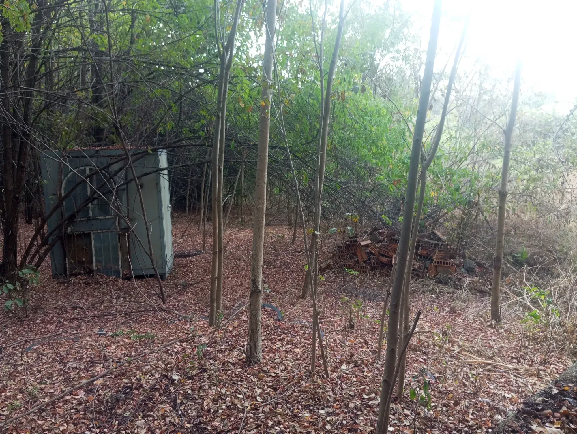 Imagem Chácara com 1 Quarto à Venda, 5.000 m² em Ravena - Sabará