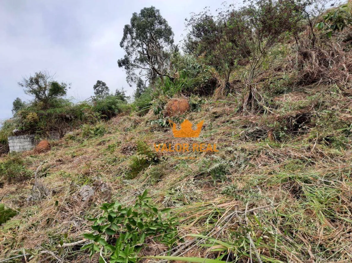 Imagem Oportunidade Única! Terreno em Condomínio de 5.000 m² com fundo para uma nascente no Bairro Caioçara, Jarinu, SP, R$ 275 mil.