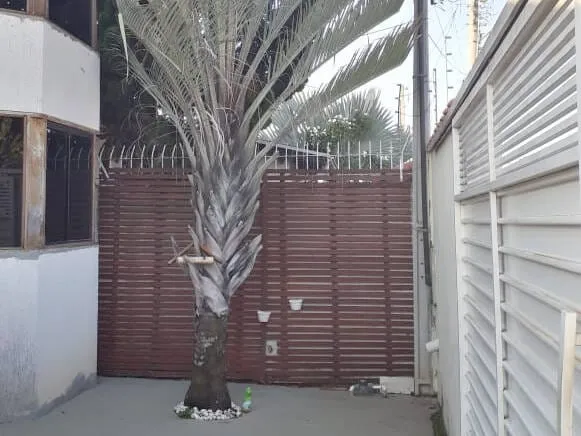 Imagem Casa à venda 4 Quartos, 1 Suite, 2 Vagas, 308M², Chácara do Visconde, Taubaté - SP