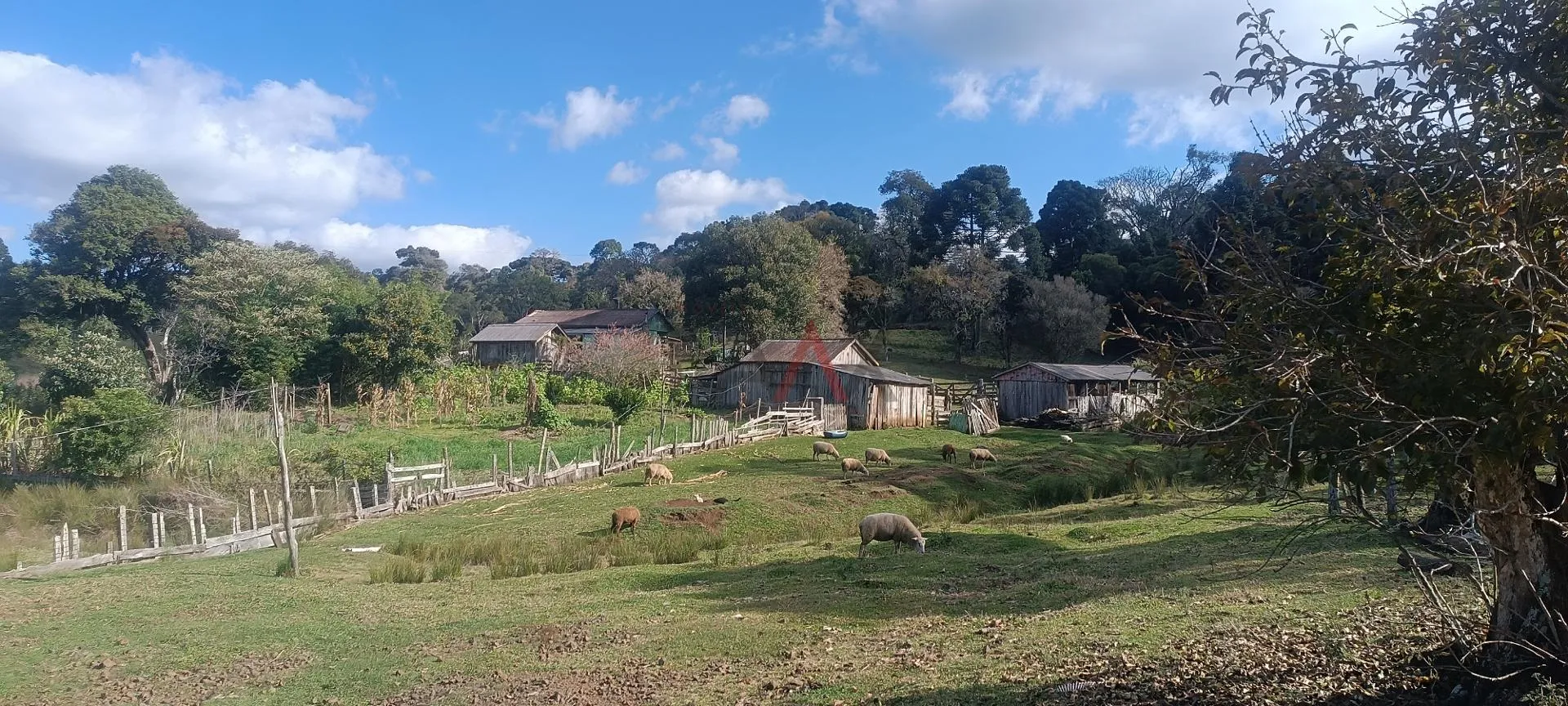 Imagem Chácara à venda com 12,5884 hectares, PALMEIRINHA, GUARAPUAVA - PR