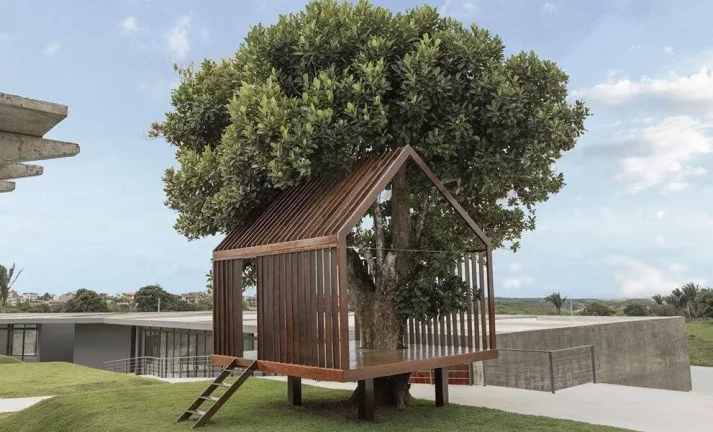 Imagem Terreno em Bananeiras