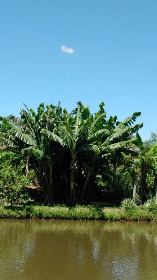 Imagem Chácara para Venda em Santo Antônio da Patrulha / RS no bairro Pinheirinhos