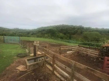 Imagem Excelente Fazenda em Funilândia/MG 112 hectares de terra