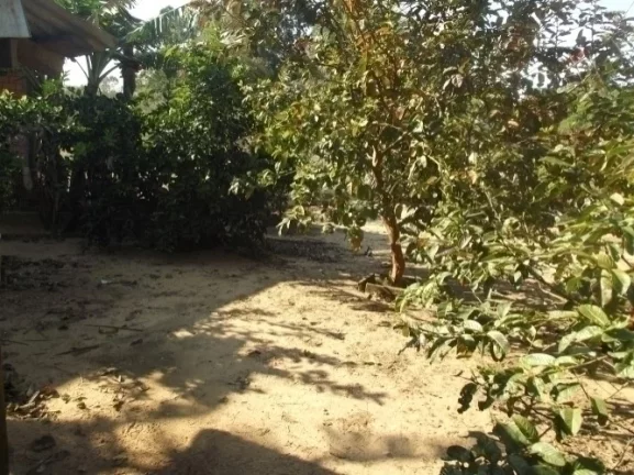 Imagem Sitio residencial, sobrado rústico, Águas Claras/Viamão