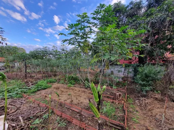 Imagem Chácara à venda localizada em Vertentes do Mamonal, contando com uma ampla área de terreno que se...